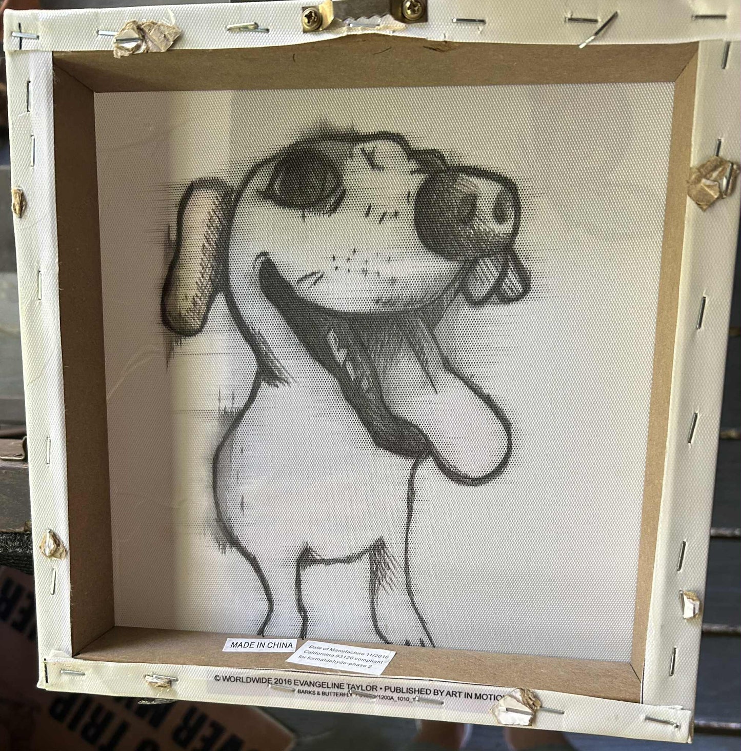 Dachshund Canvas Print