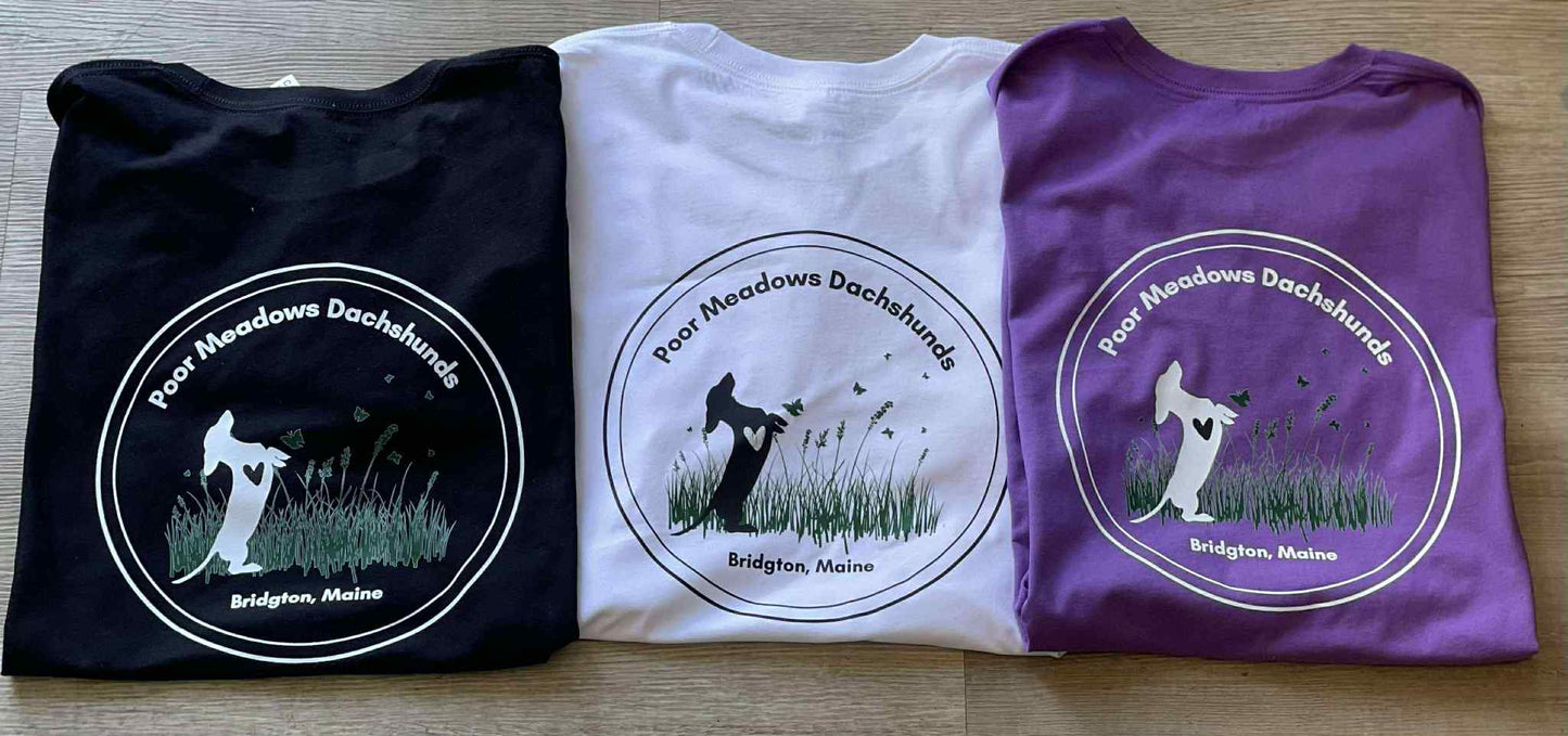 Short Sleeve T-Shirt