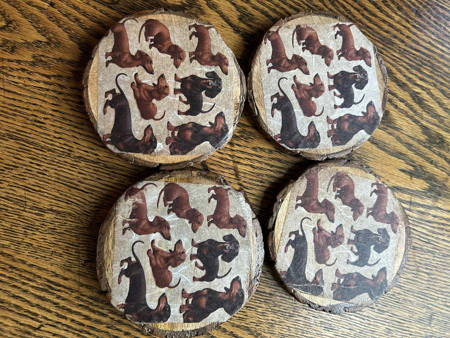 Dachshund Coaster Set