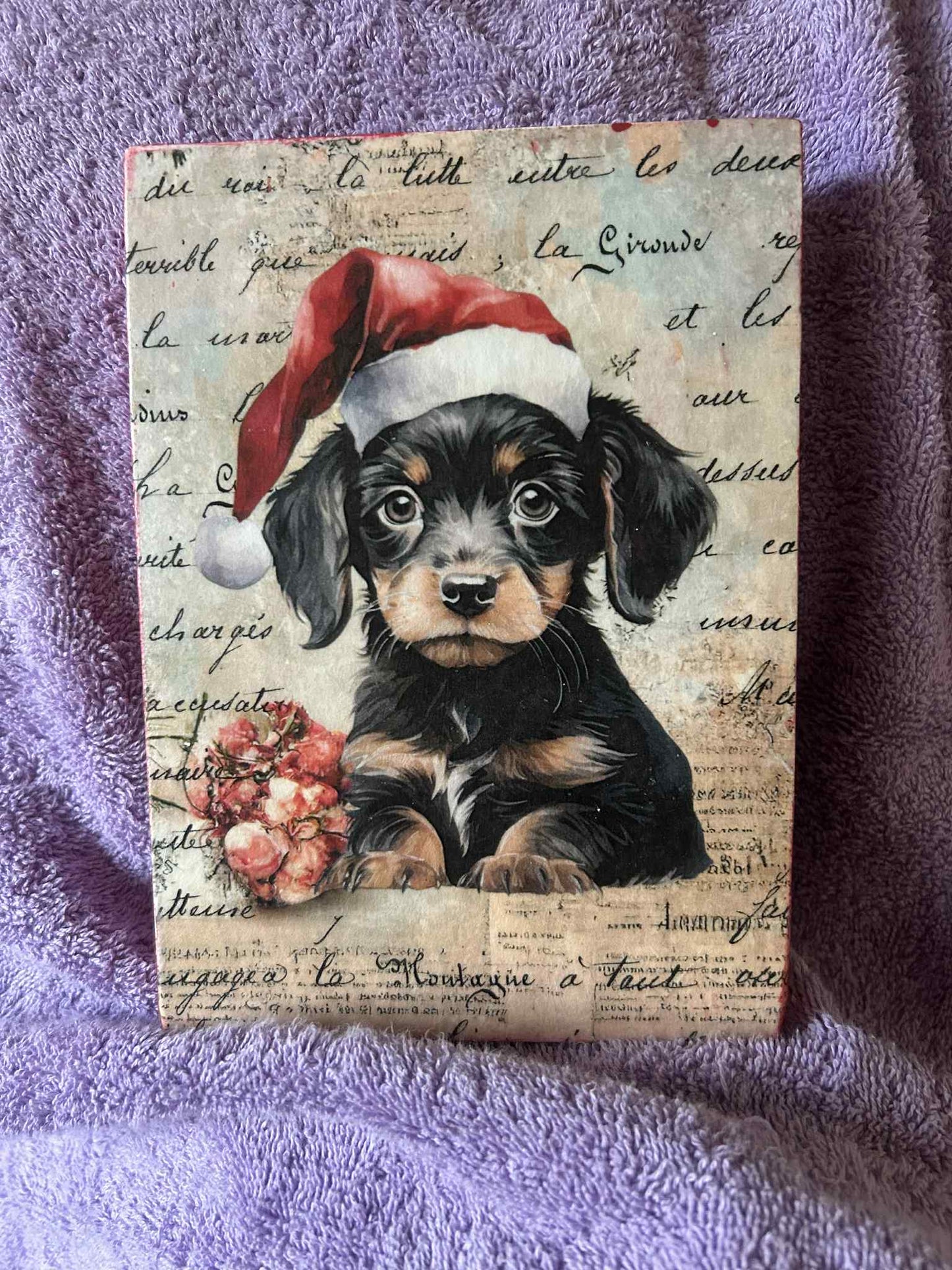 Dachshund Puppy Santa (007)