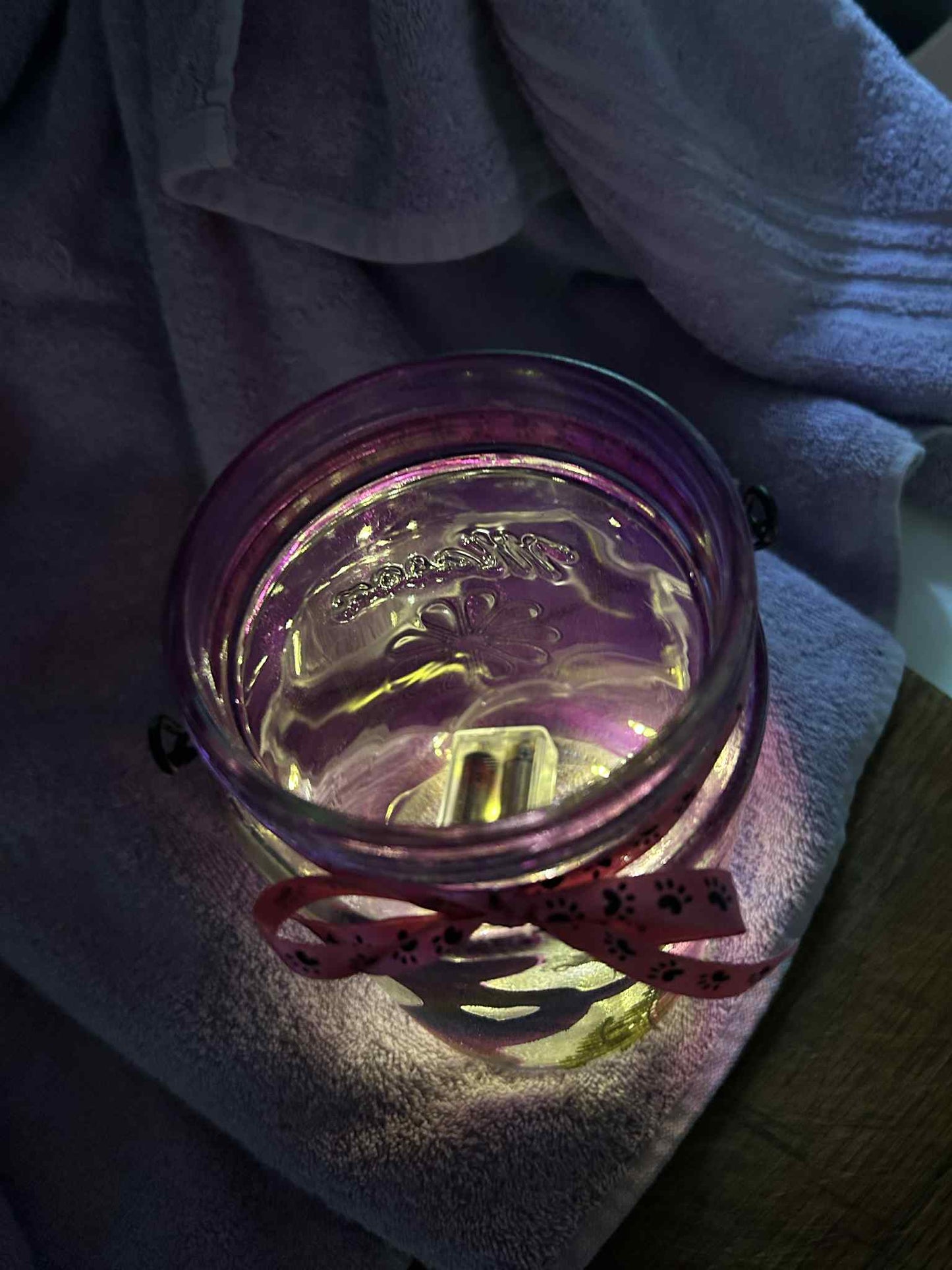 Hanging Dachshund Lighted Mason Jar