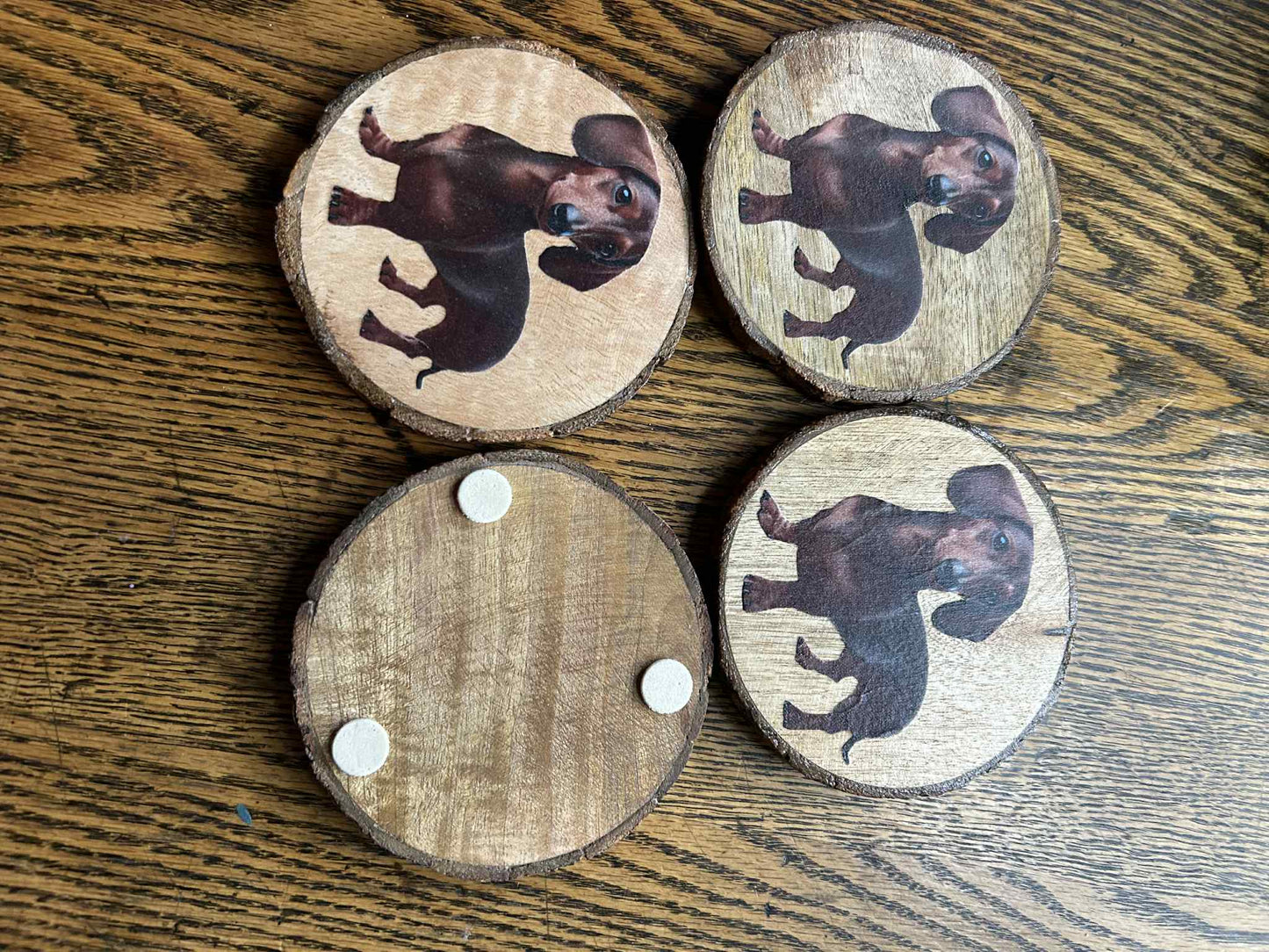 Dachshund Coaster Set