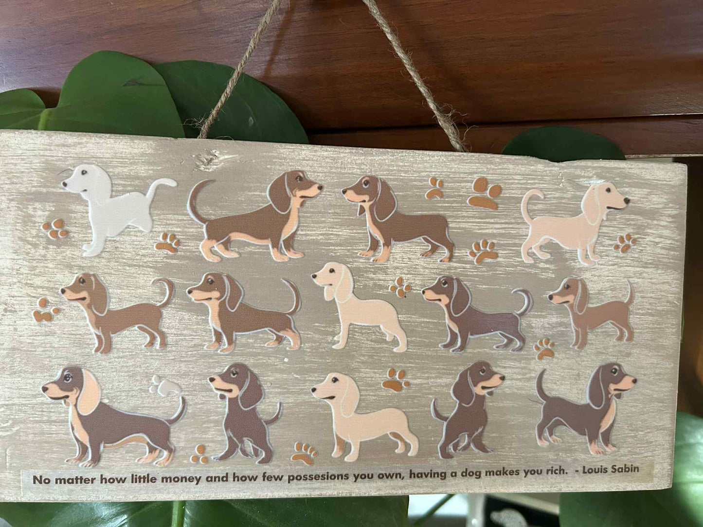 Having a Dog Makes You Rich Wooden Hangar