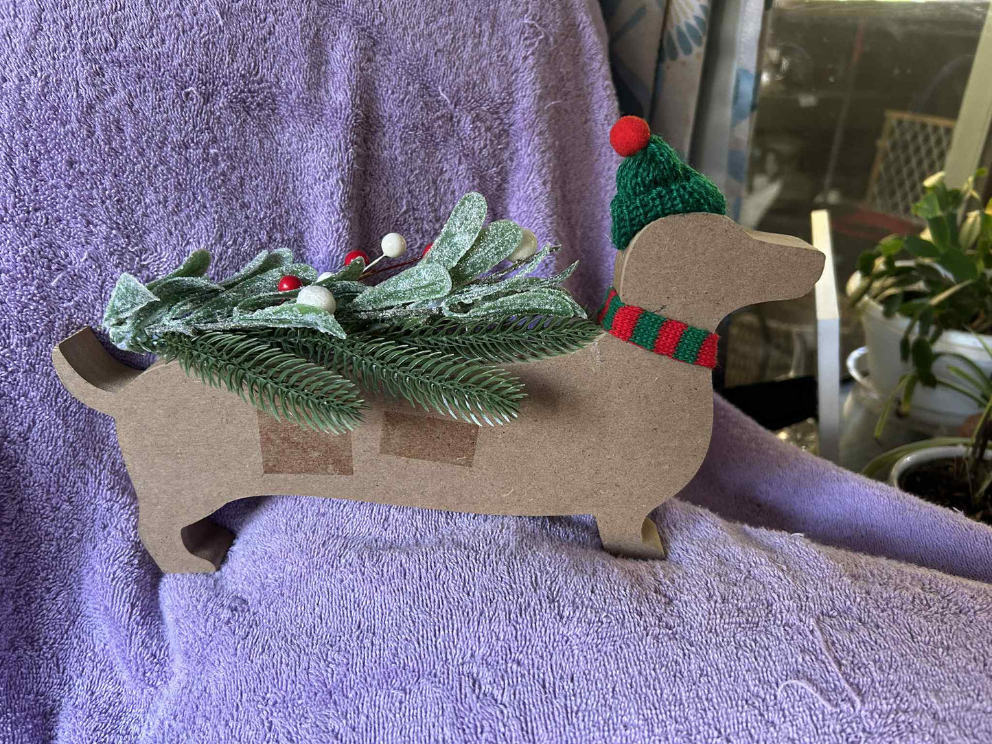 Snowflake Dachshund (0101)