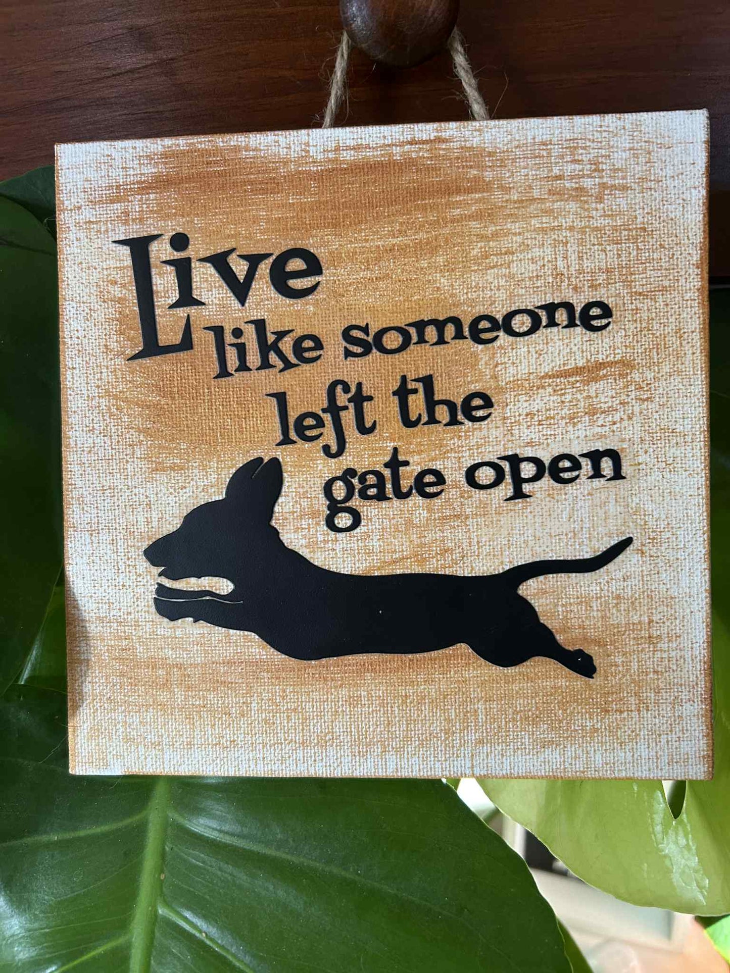 Live Like Someone Left the Gate Open Dachshund