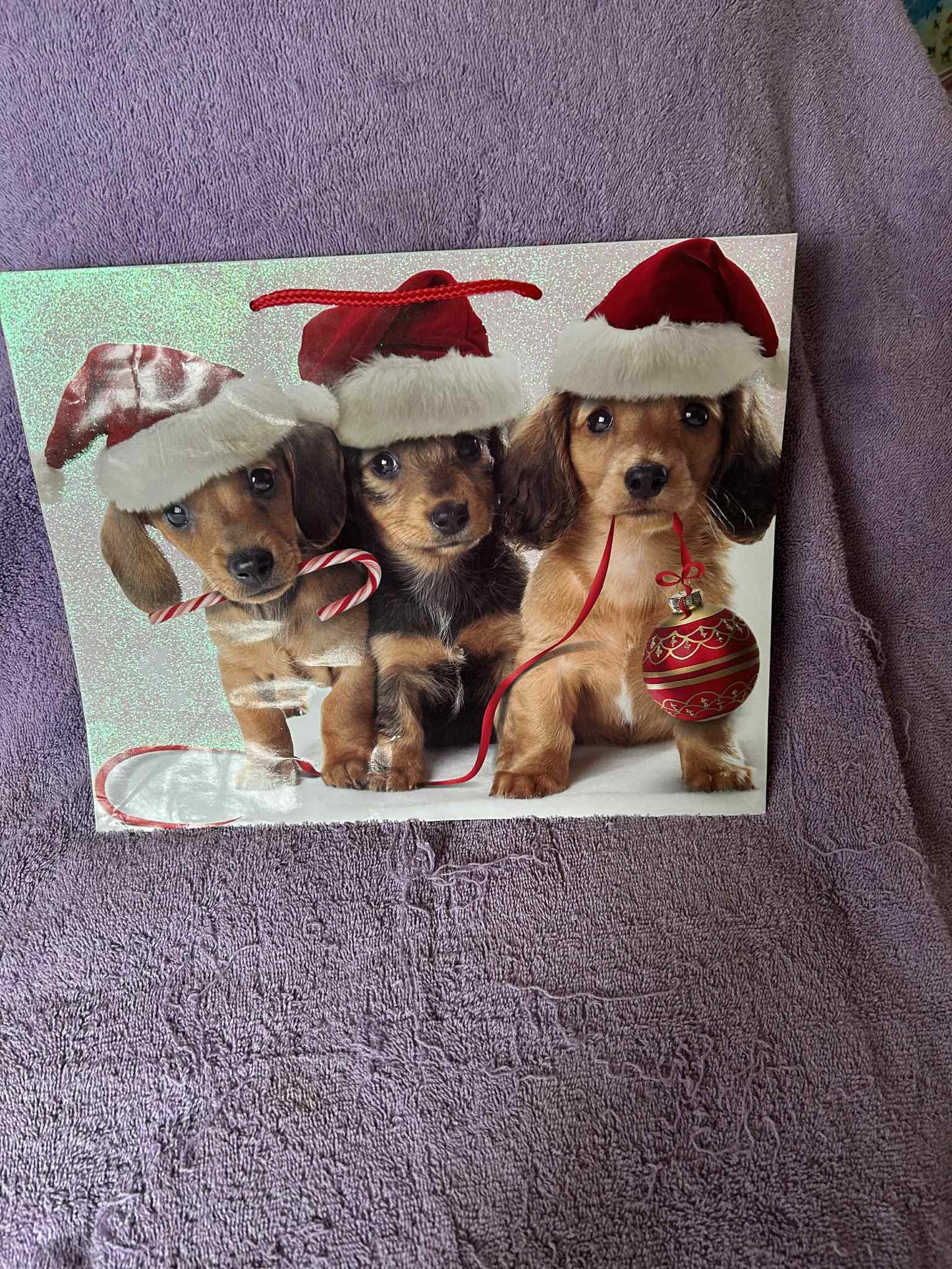 Dachshund Christmas Gift Bag