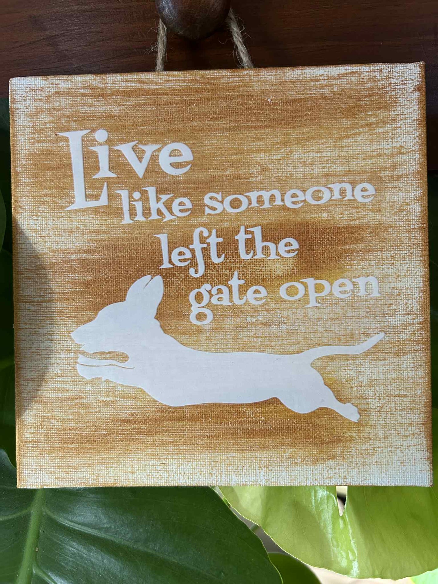 Live Like Someone Left the Gate Open Dachshund