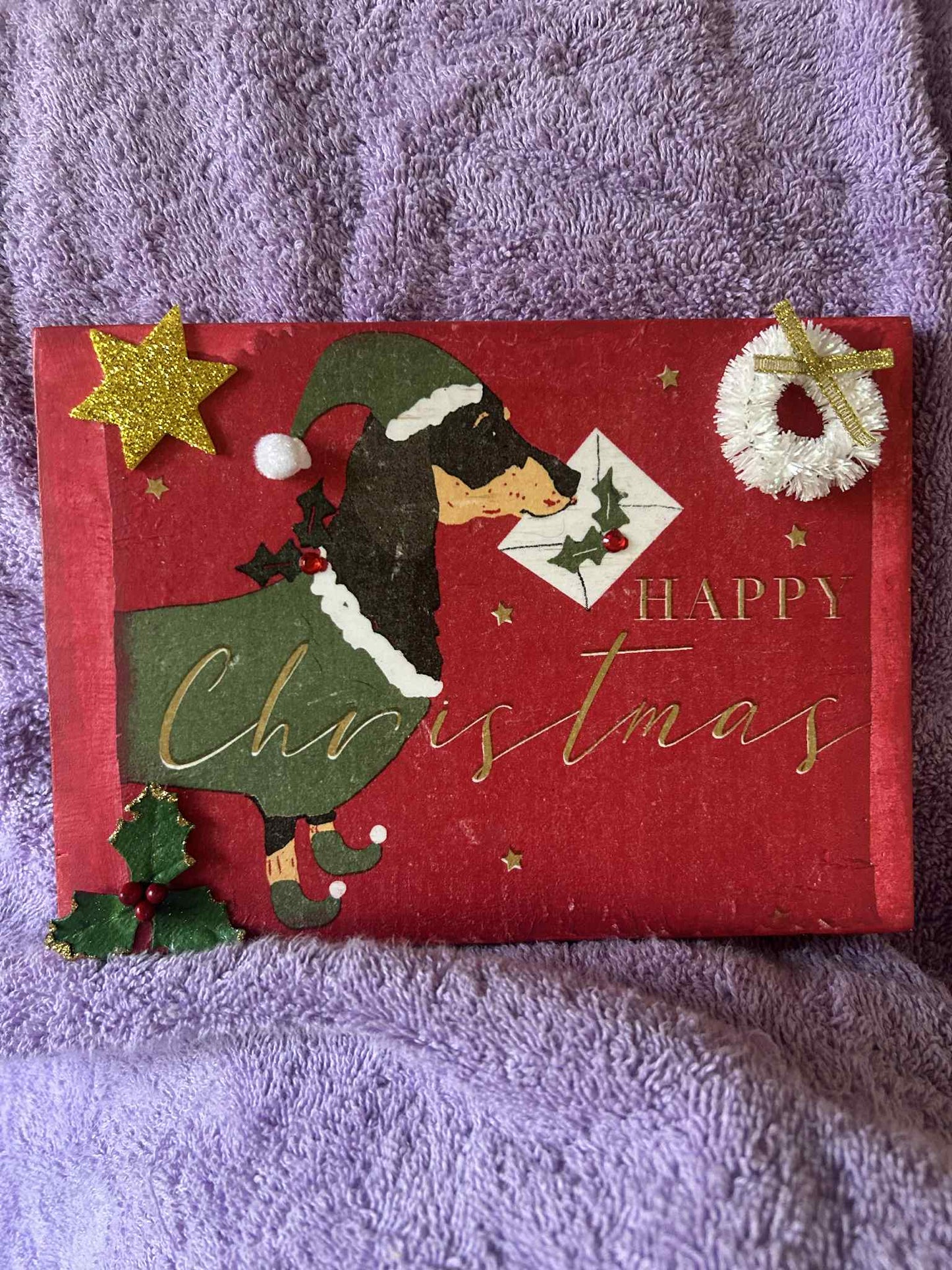 Happy Holiday Dachshund Christmas (006)