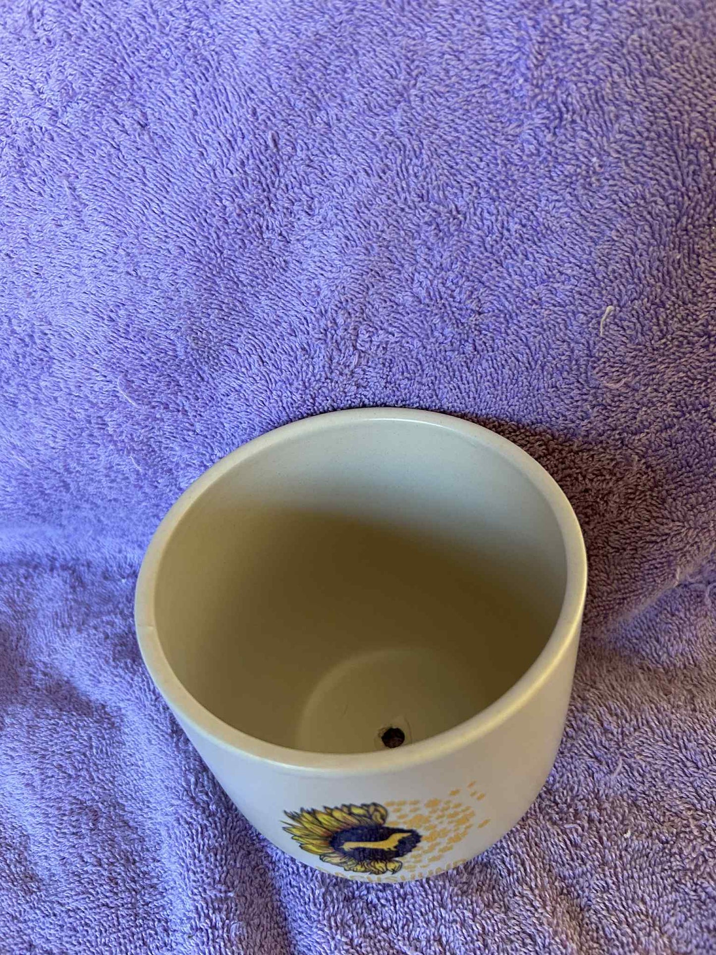 Dachshund Mom Plant Pot