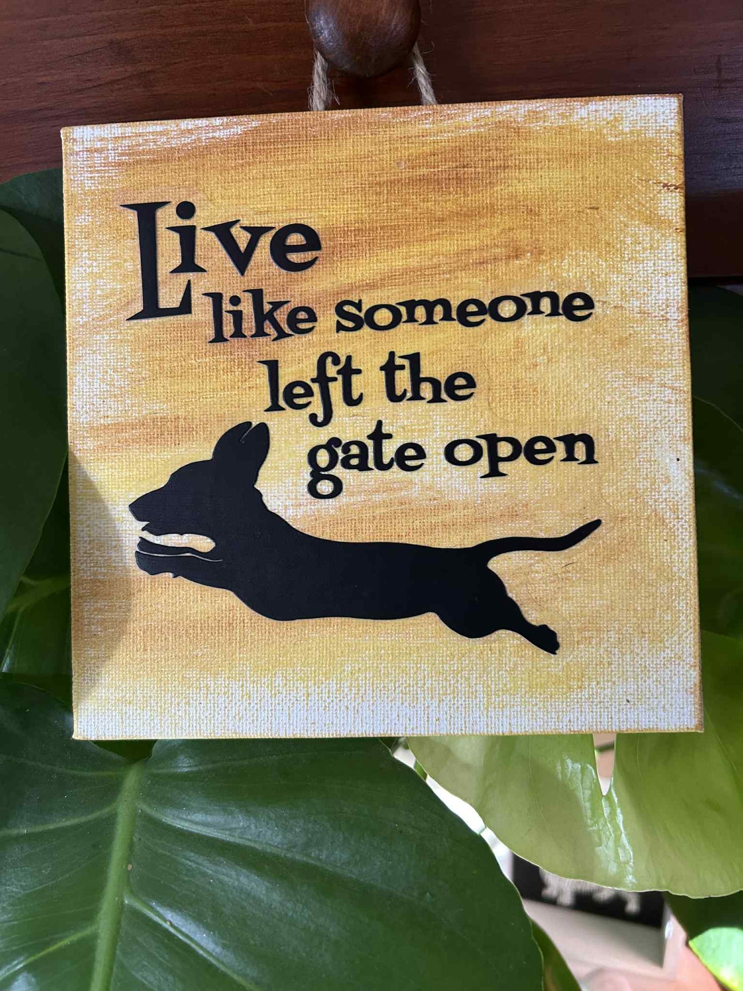 Live Like Someone Left the Gate Open Dachshund