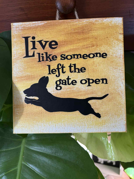 Live Like Someone Left the Gate Open Dachshund