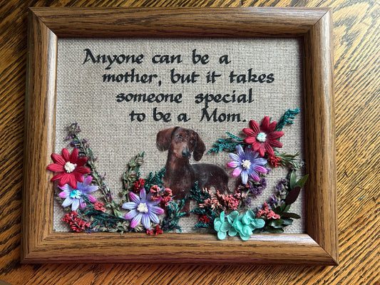 Re-Pawed Picture