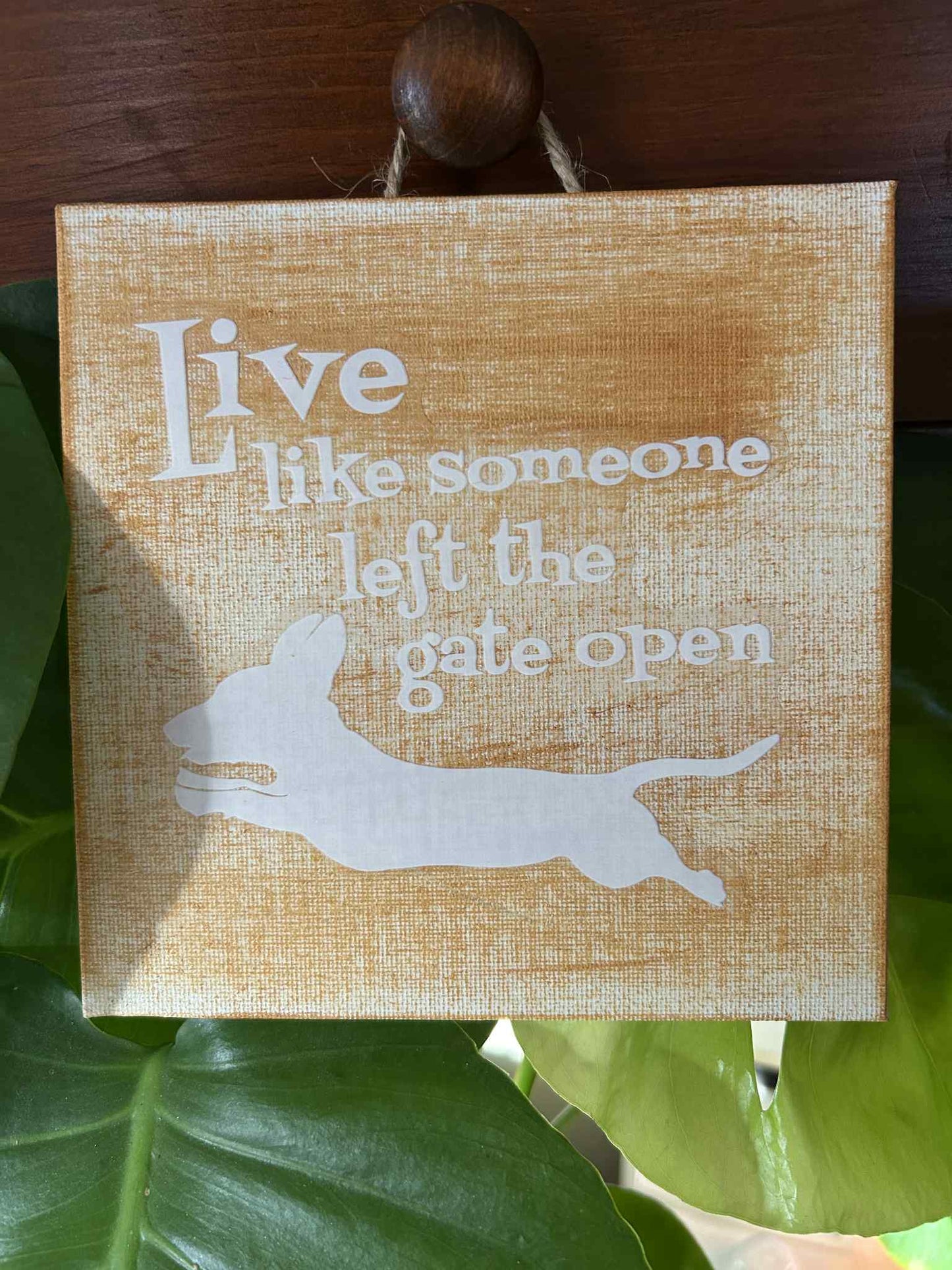 Live Like Someone Left the Gate Open Dachshund