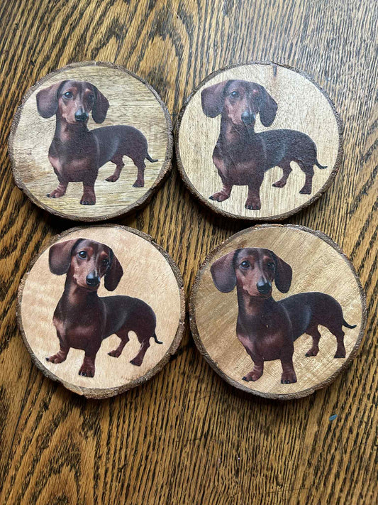 Dachshund Coaster Set