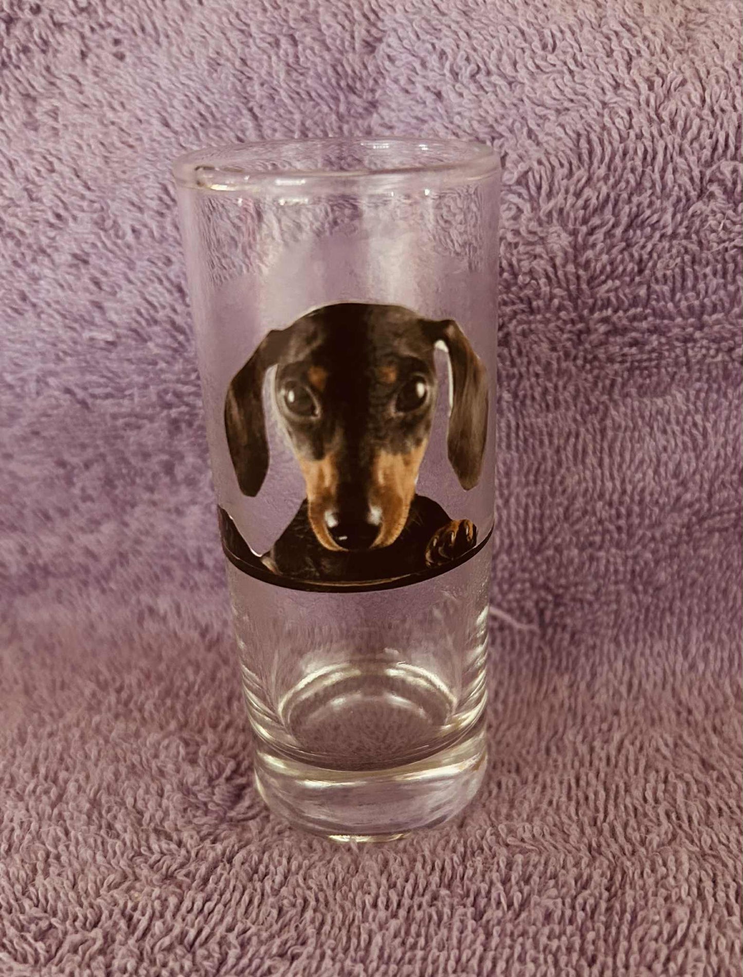 Dachshund Shot Glasses