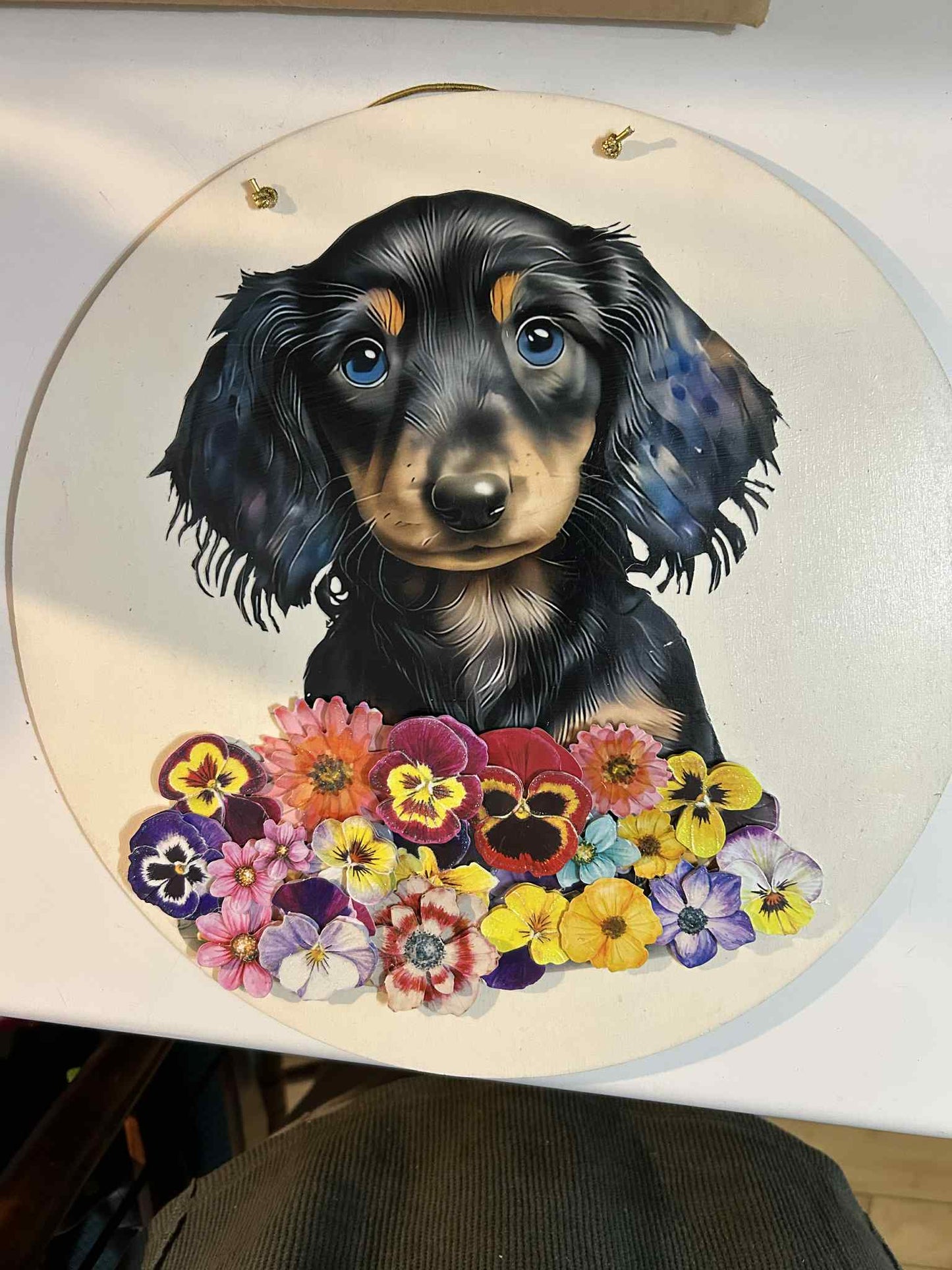 Dachshund Pansie Puppy Hangar