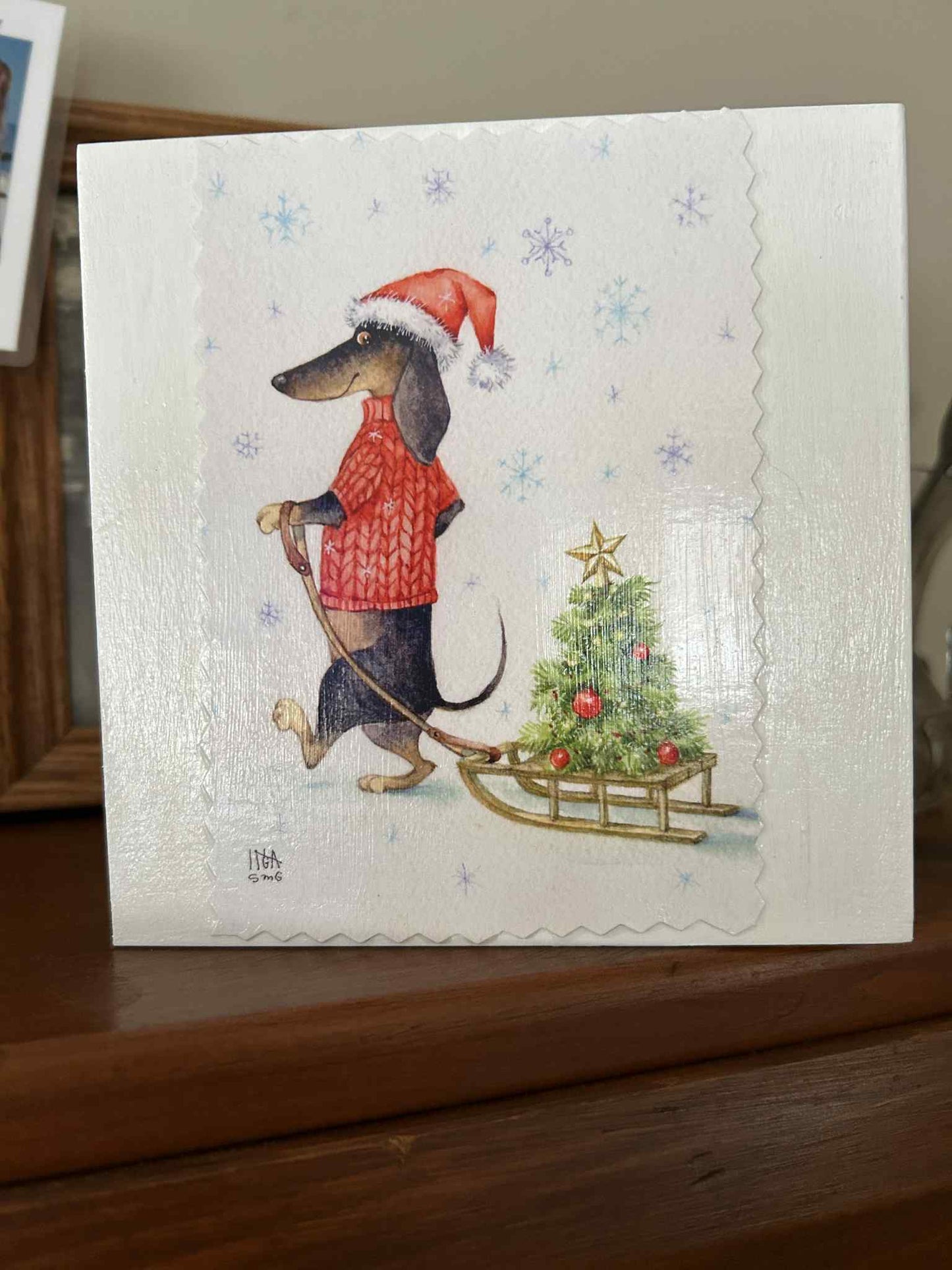 Dachshund Bringing Home The Tree