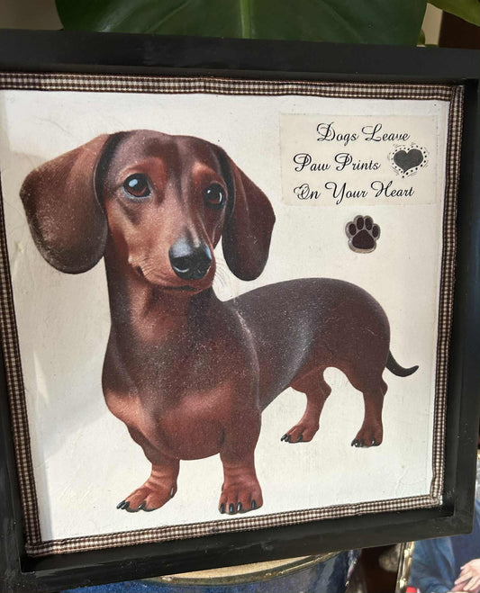 Paw Prints on Your Heart Dachshund Picture