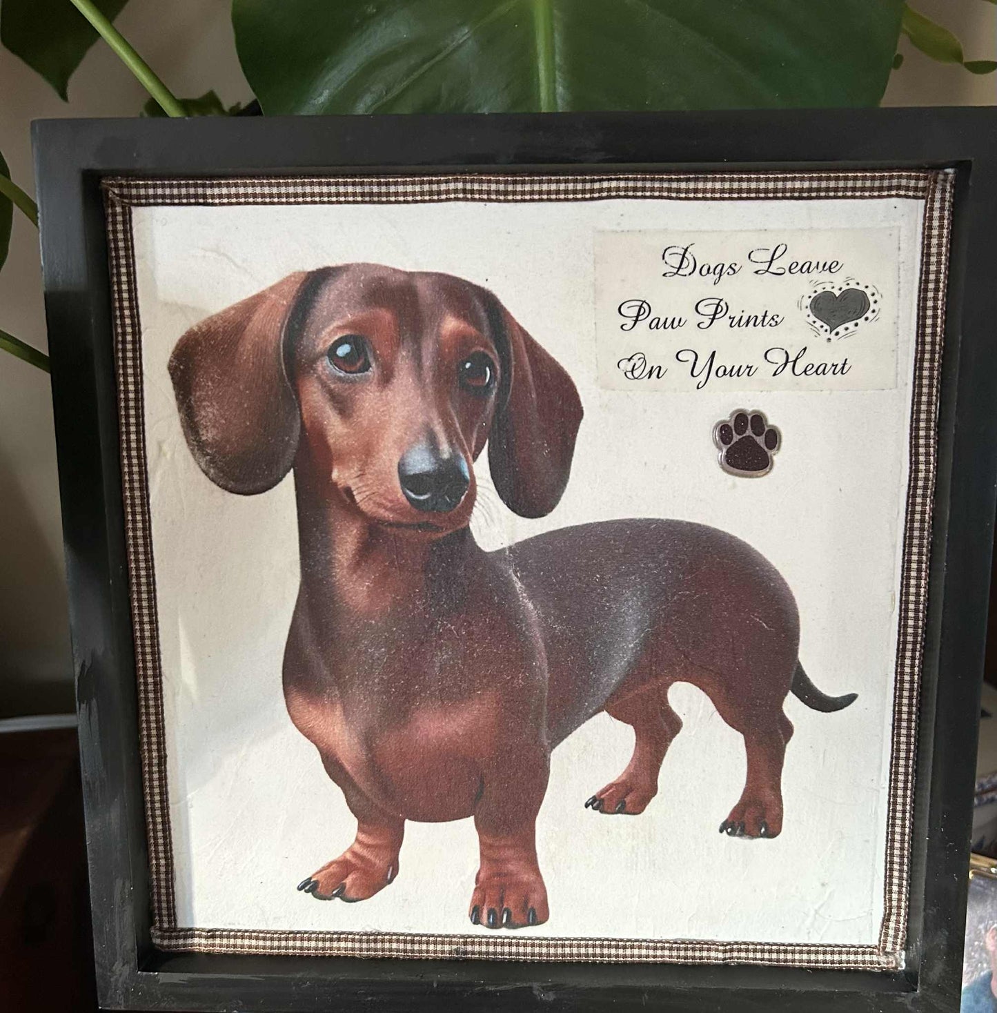 Paw Prints on Your Heart Dachshund Picture