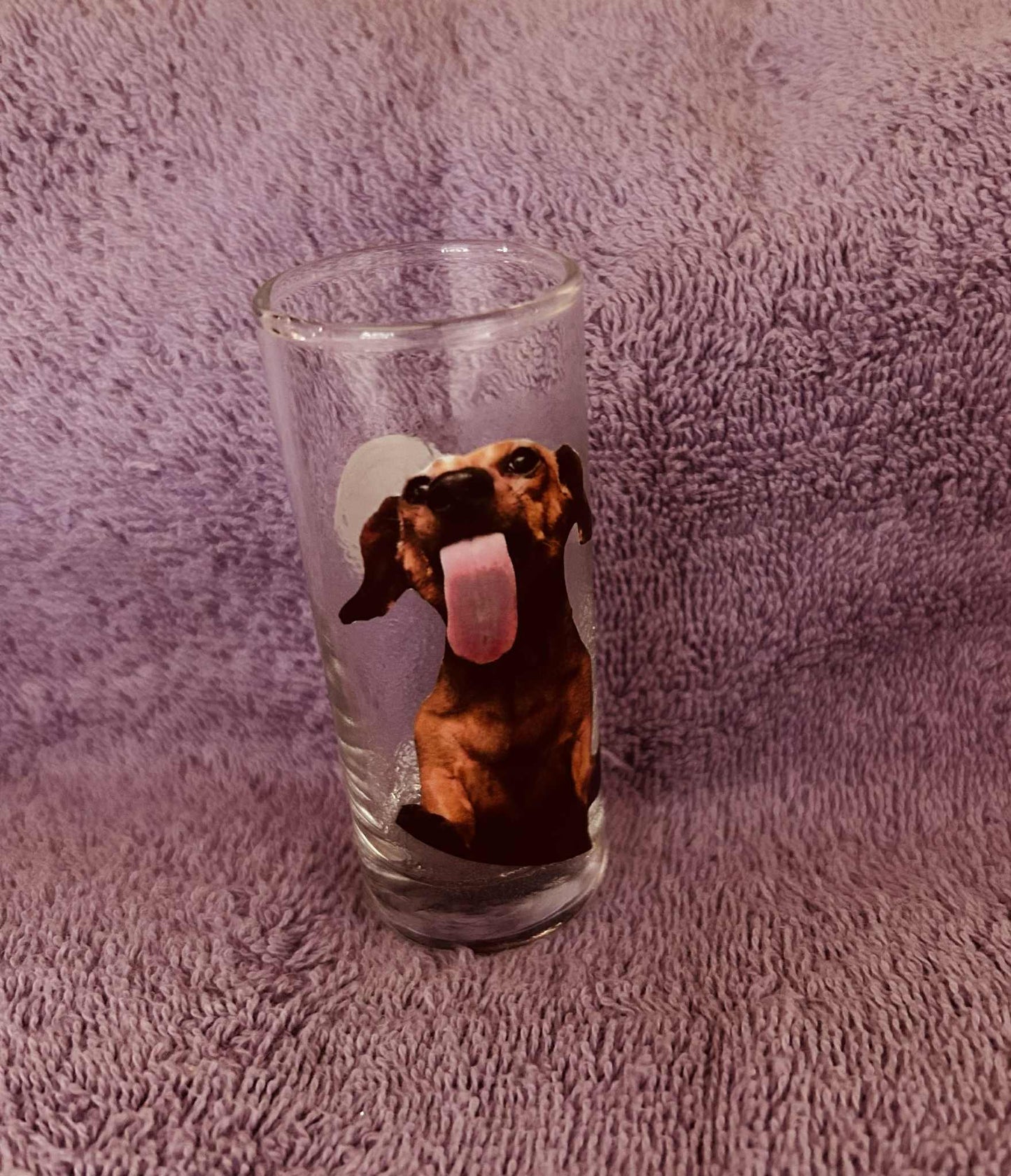 Dachshund Shot Glasses