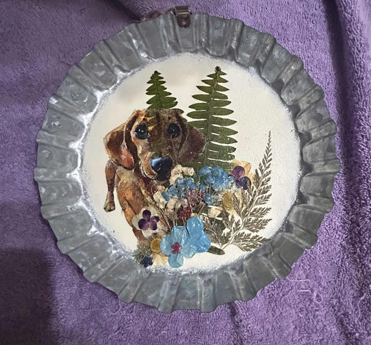 Dachshund & Flowers Metal Hangar