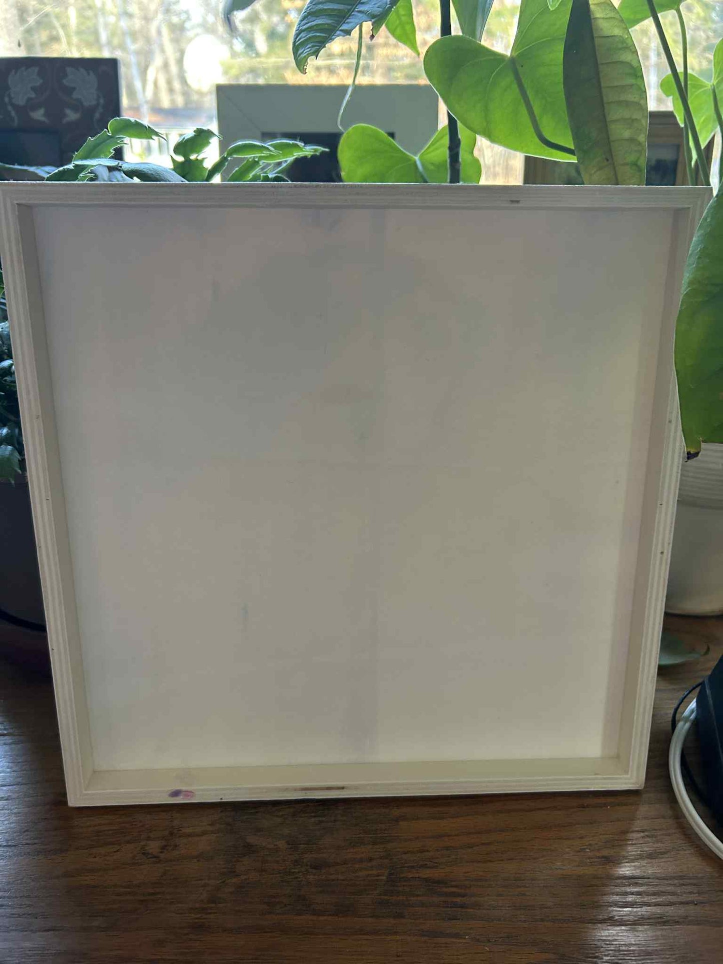 Dachshund Mermaid Wishes Picture